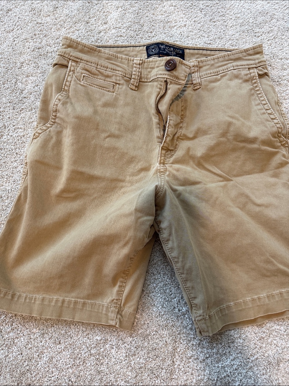 American Eagle Outfitters Khaki Flat Front Men's Shorts